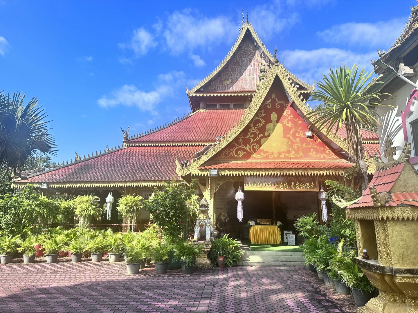 西双版纳最坑的景点是