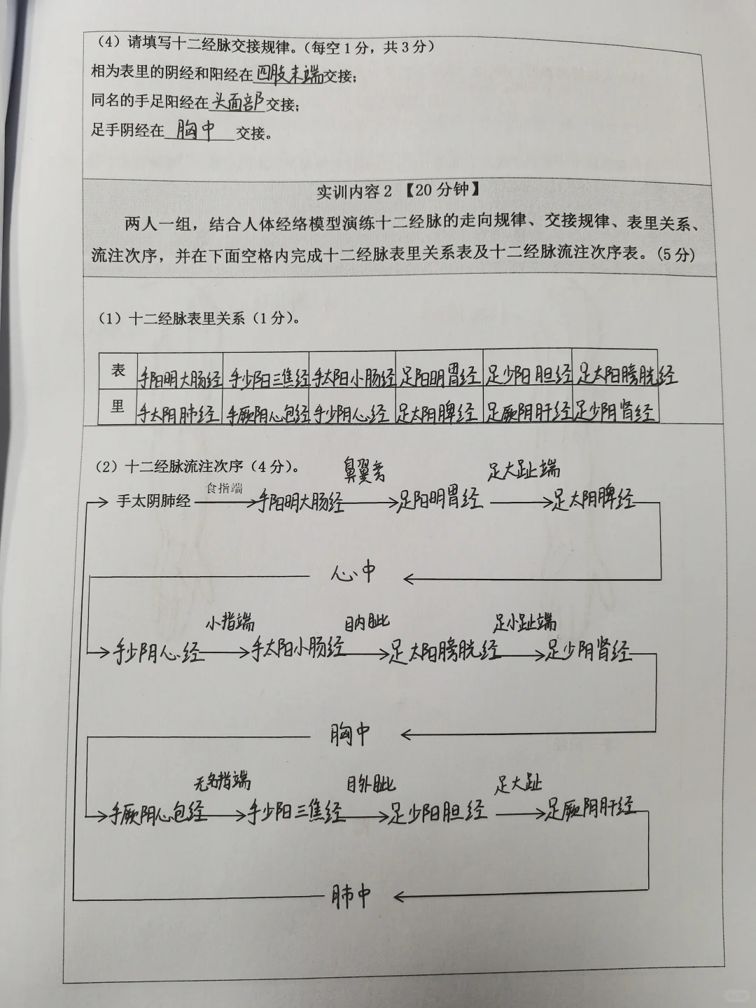 中医经络体质报告册