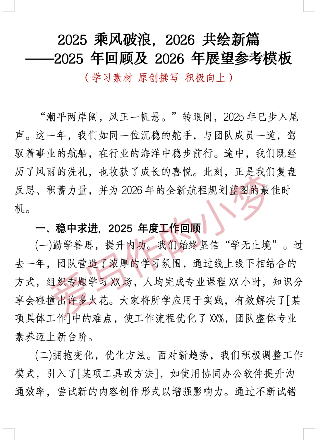 2025年回顾及2026年展望参考模板