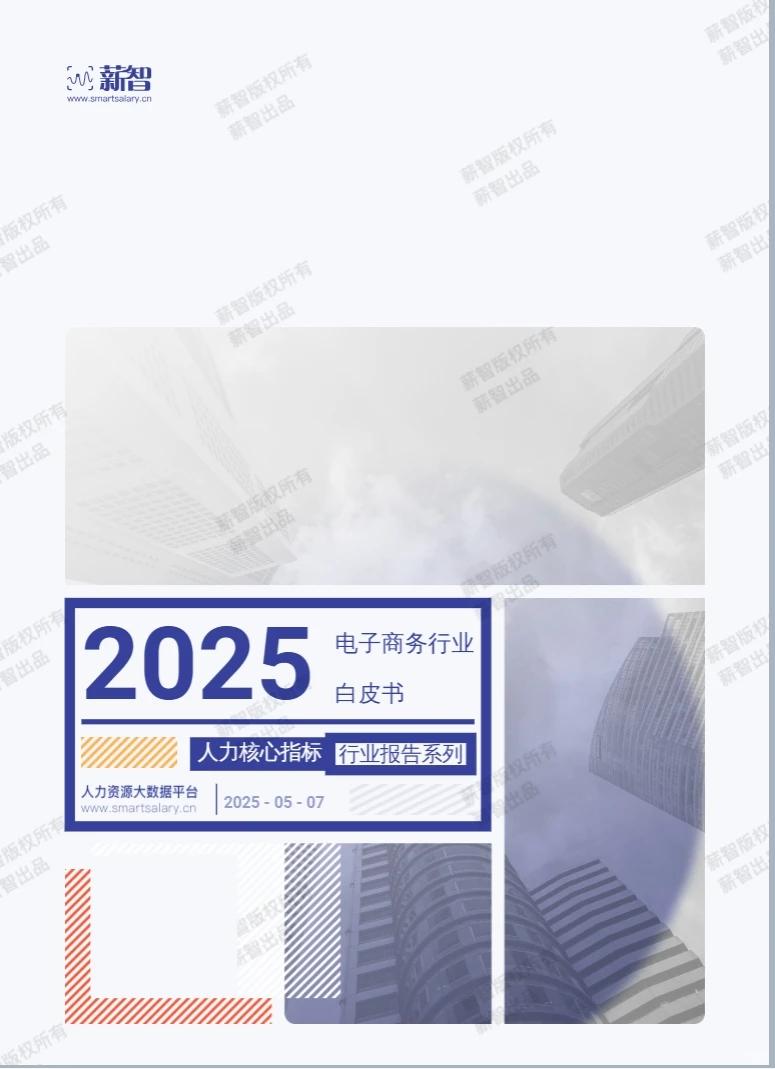 2025年电子商务行业白皮书