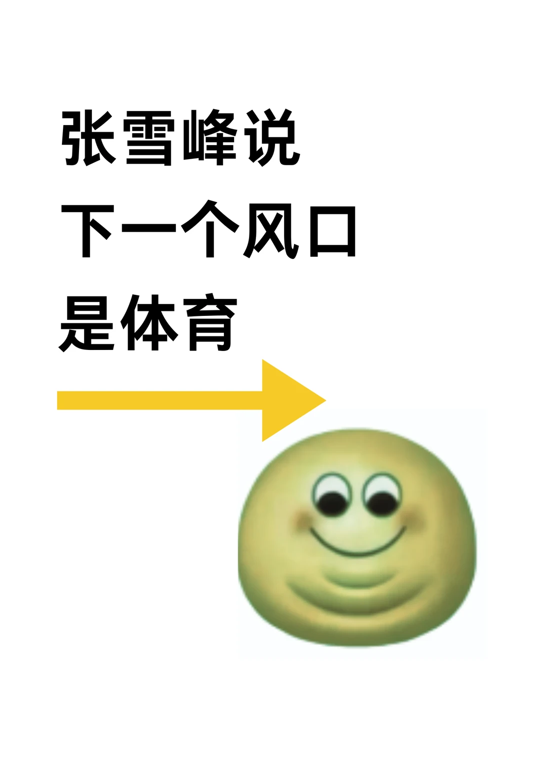 张雪峰说下一个风口是：体育