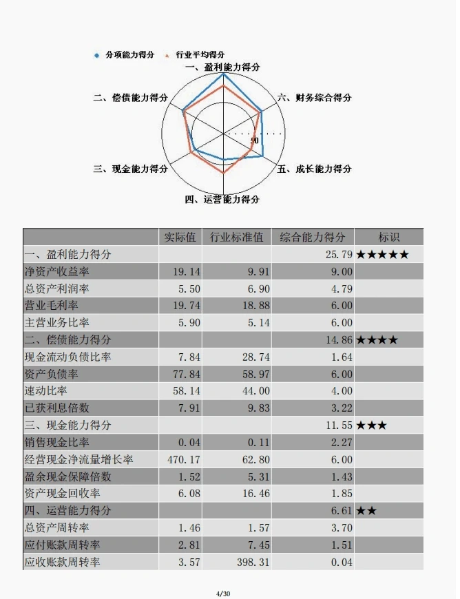 企业年度分析报告