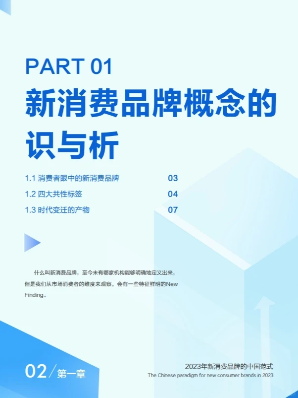 报告6丨2023新消费品牌的中国范式60页
