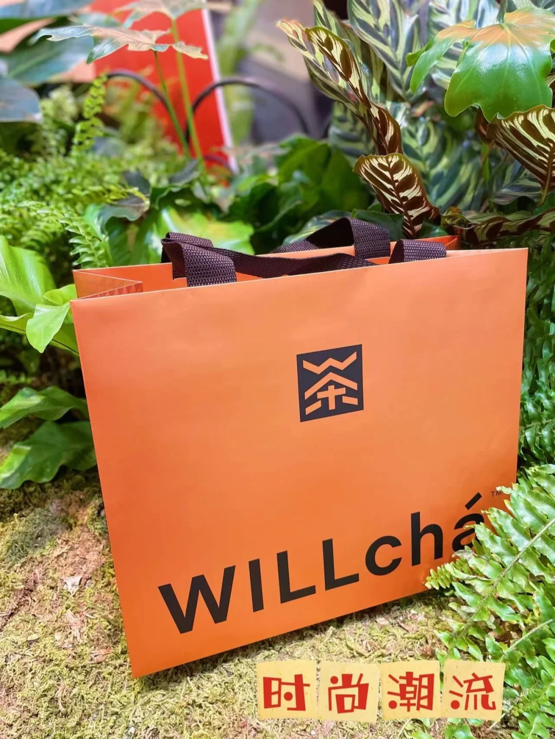 北京探店|超低卡零添加‼️新晋网红茶饮WIL