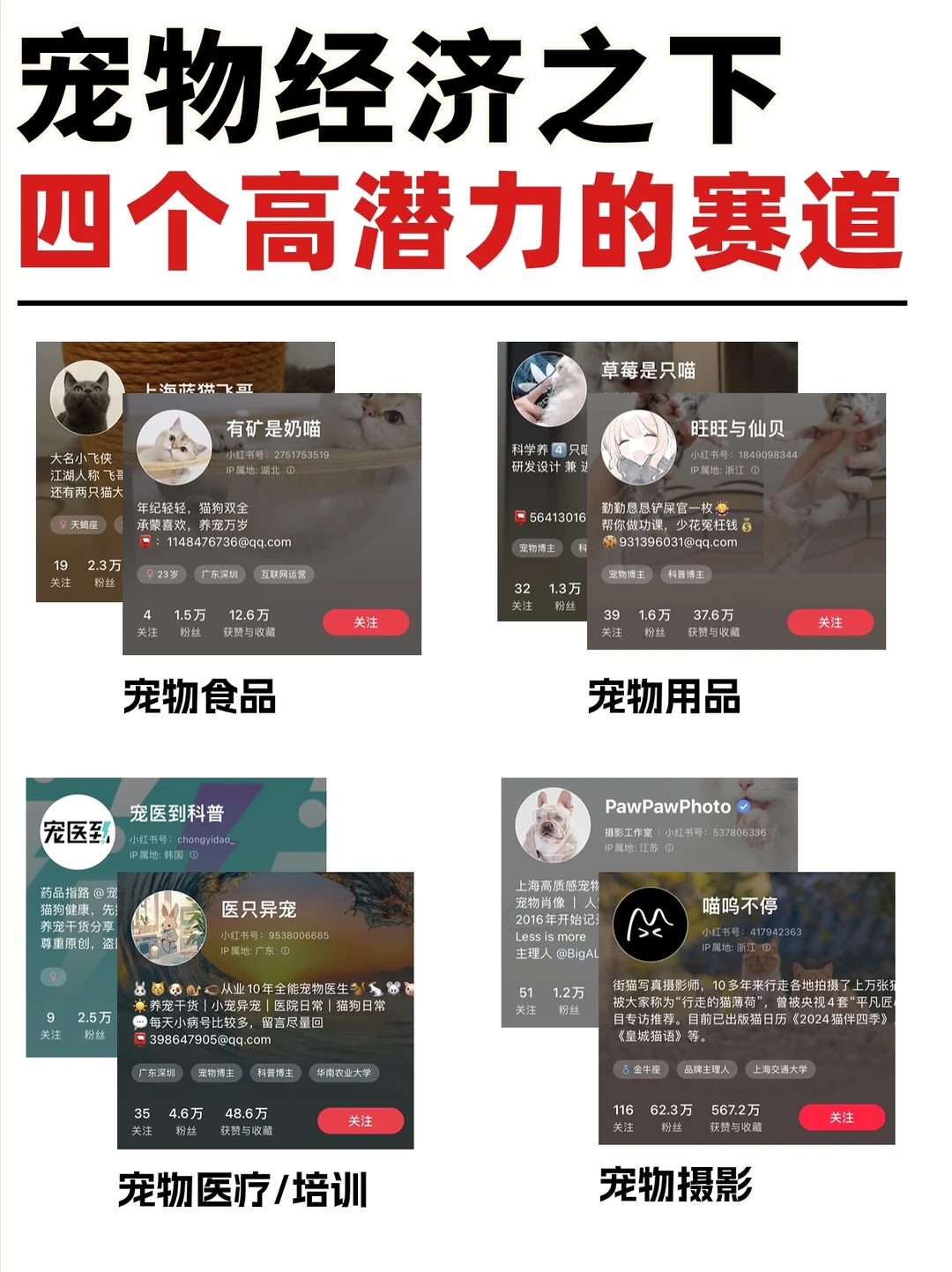 宠物经济之下的四个高潜力赛道?