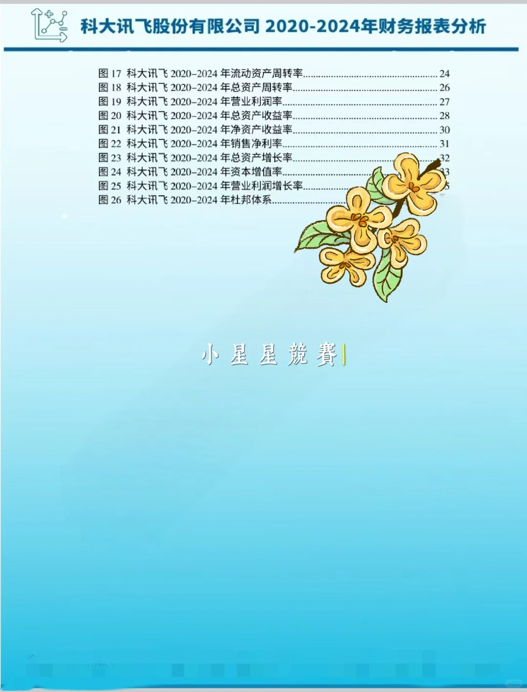 2026会计案例竞赛科大讯飞财务报表分析