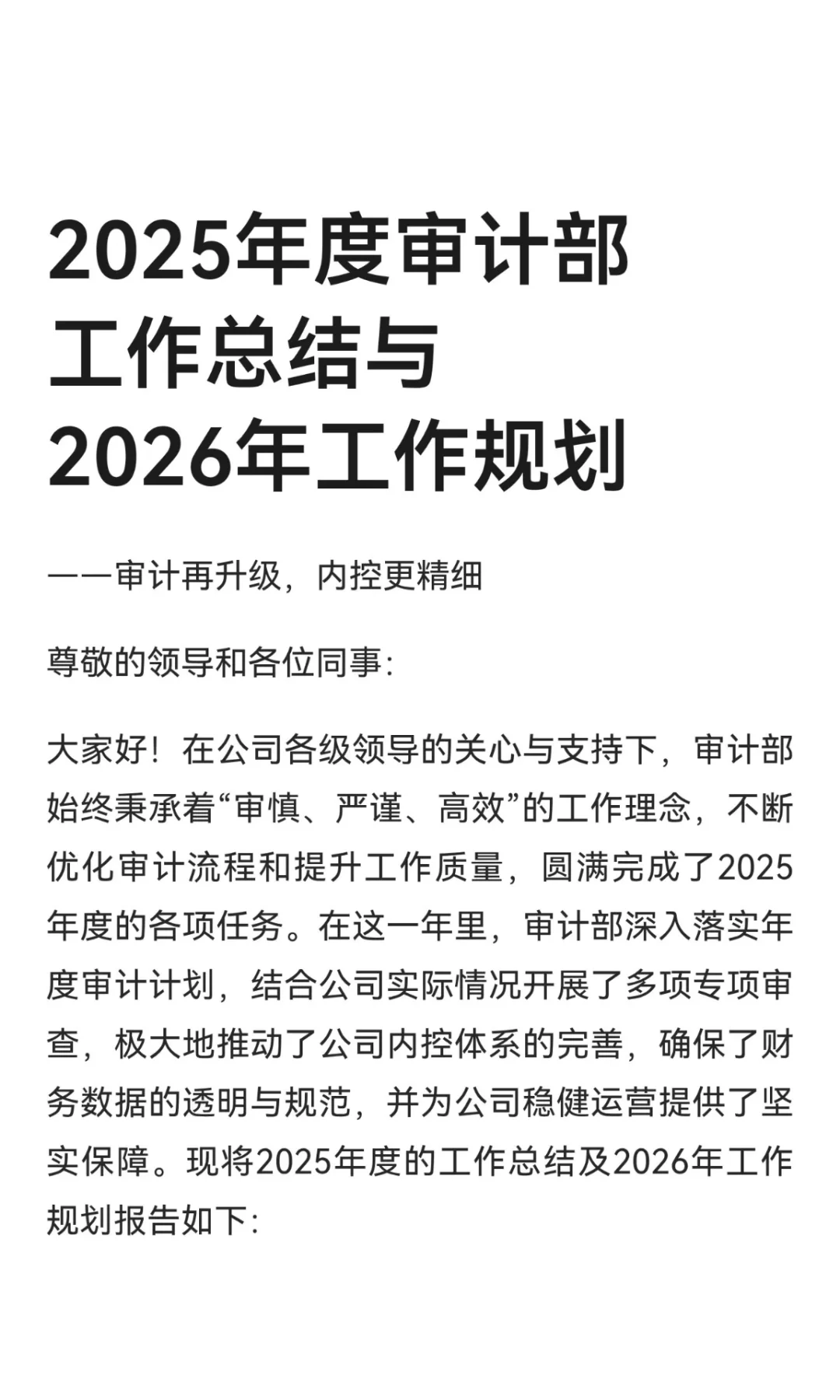 2025年度审计部工作总结与2026年工作规划