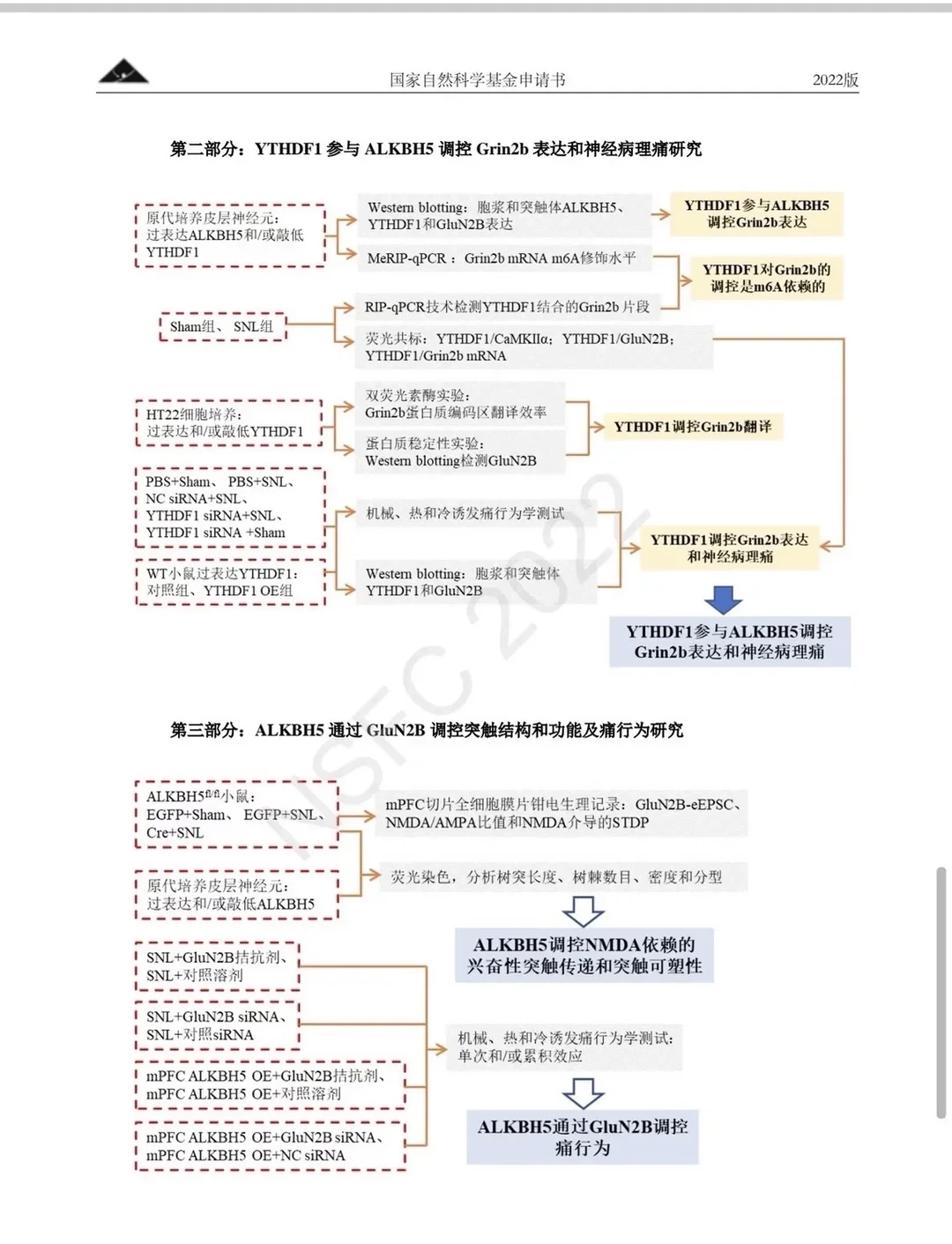 这个国自然已中标写的太好了