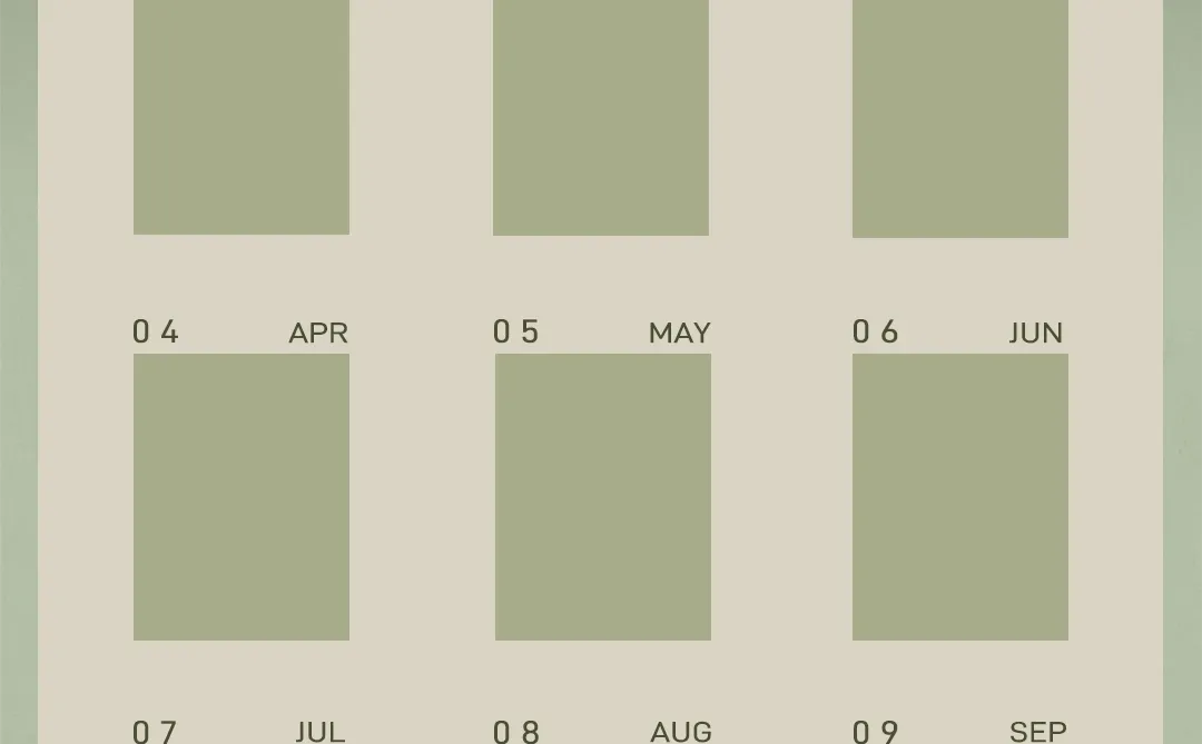 给小说妹的2025年度报告/年度总结模板
