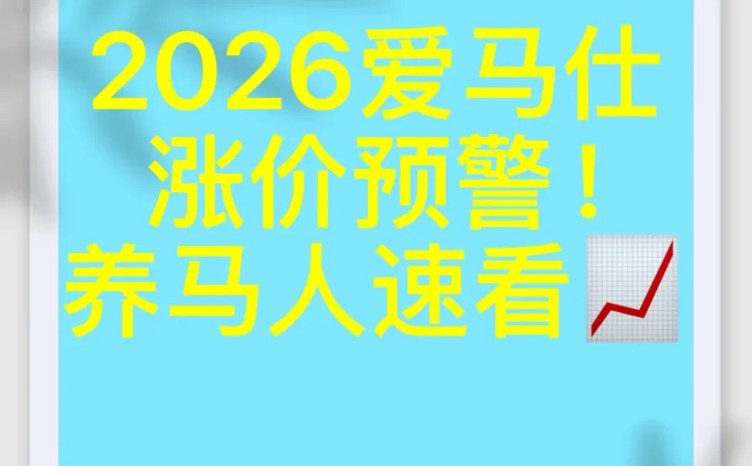 2026爱马仕涨价深度分析｜养马人必看！