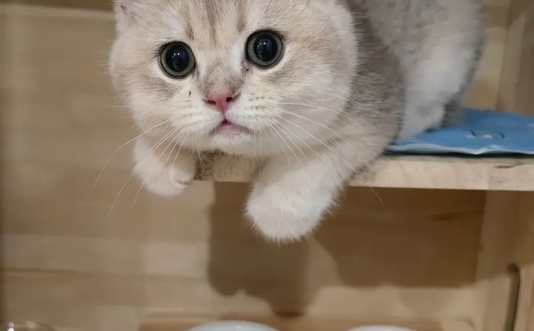 授信报告里行业分析的秘密，只有几点！