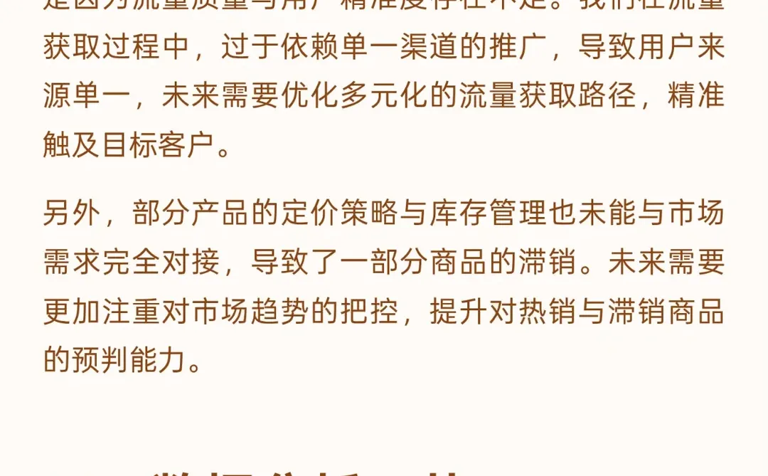 2025电商运营年终总结报告