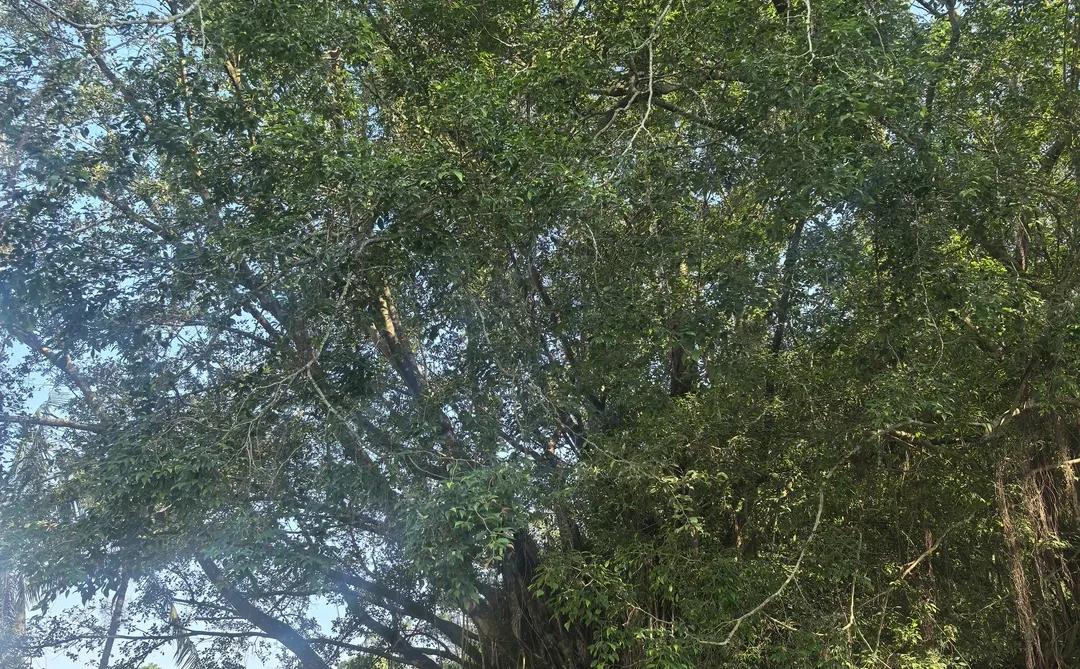 猎头五年：从“坐火箭”到“修渡船”