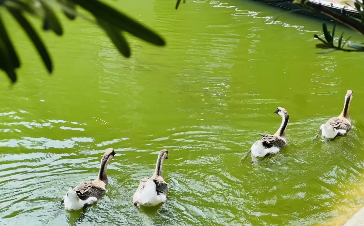 经济不好，反而越来越好赚钱的5个赛道