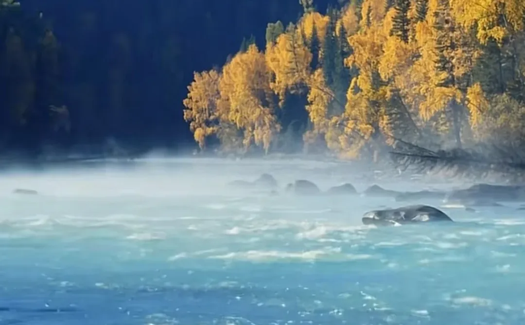 国家队指明了明年一条确定性新方向