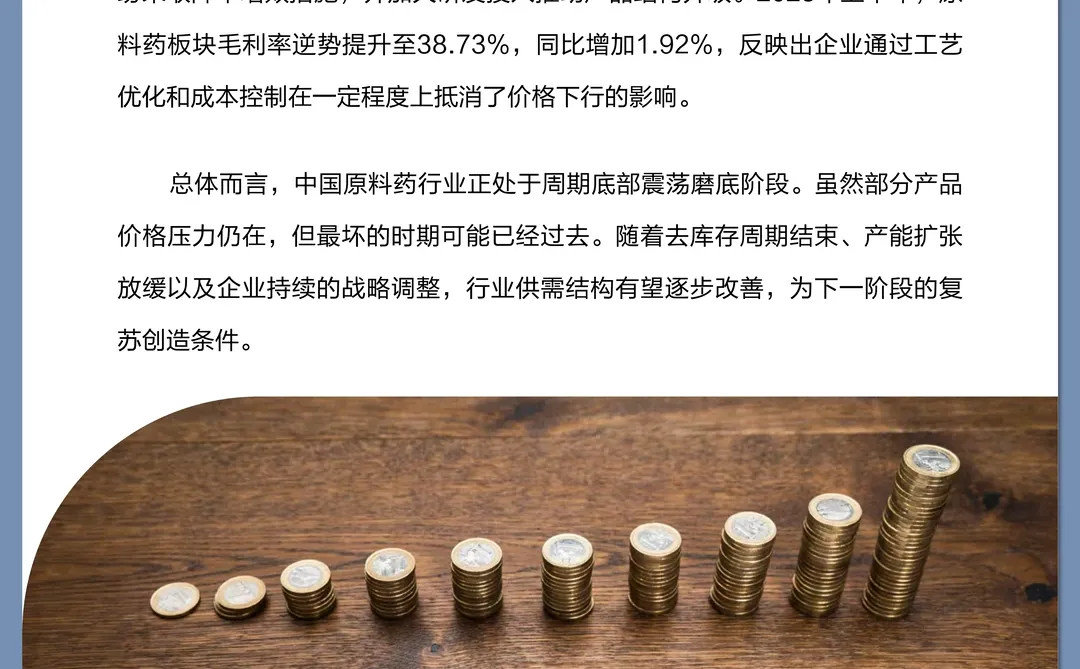 中国原料药行业报告 2025