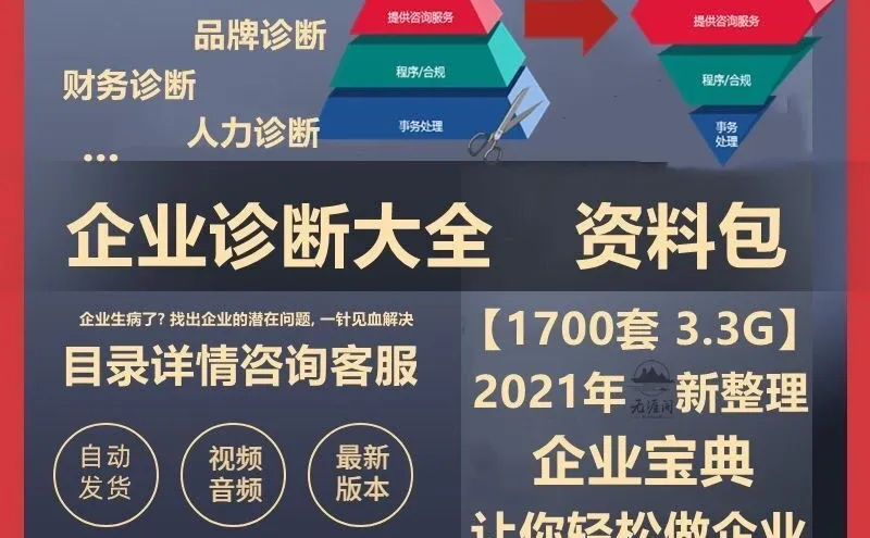 新企业经营战略研究诊断报告案例