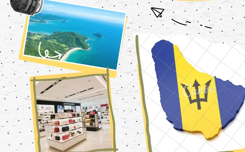 跨境老板之热点观察:自贸港篇