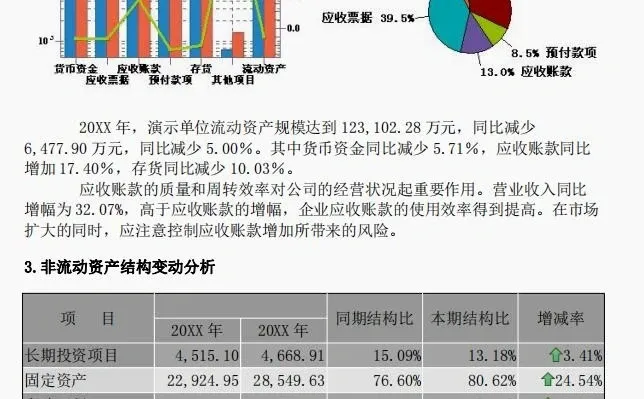企业年度分析报告