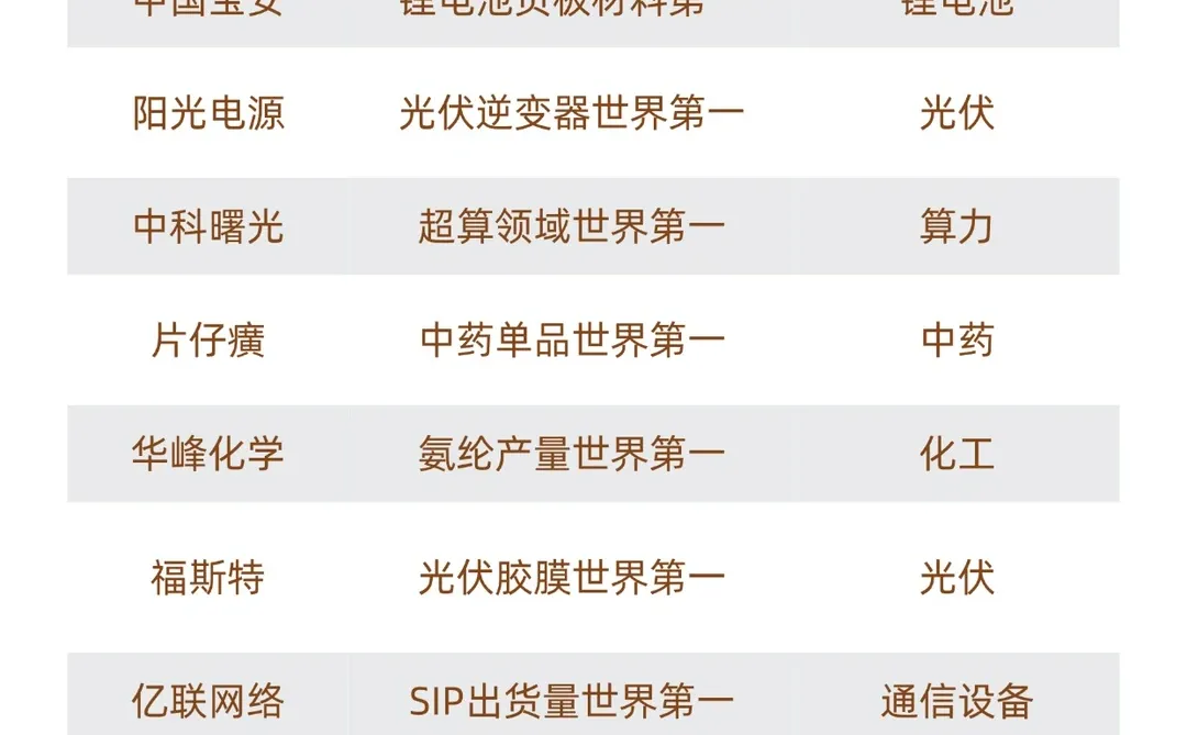 A股哪些公司全球第一？