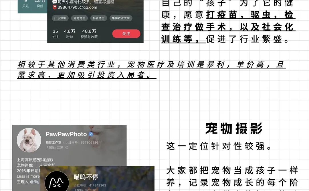 宠物经济之下的四个高潜力赛道?