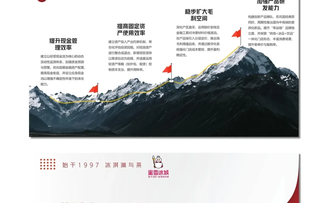 蜜雪集团财务报表分析PPT