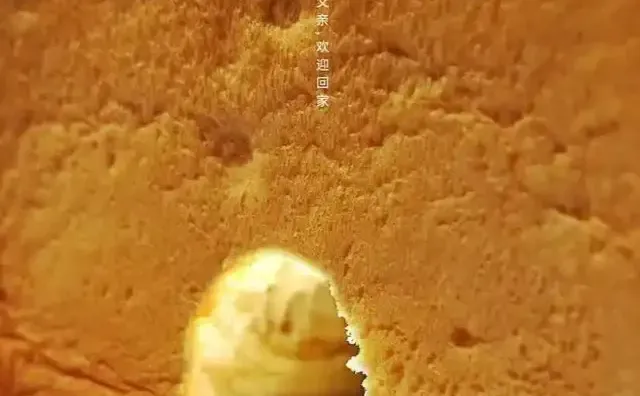 初创品牌攻略：快速打开市场提升占有率