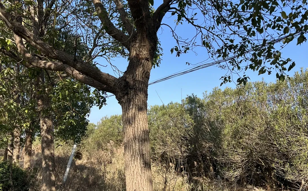 焦虑迷茫的创始人，往往都有一个共同错觉