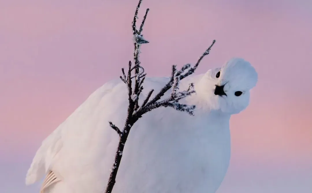 和贵人或领导相处，必懂的人情世故①