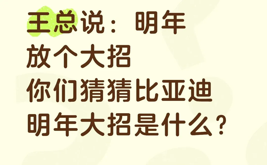 你们猜猜比亚迪明年大招是什么？