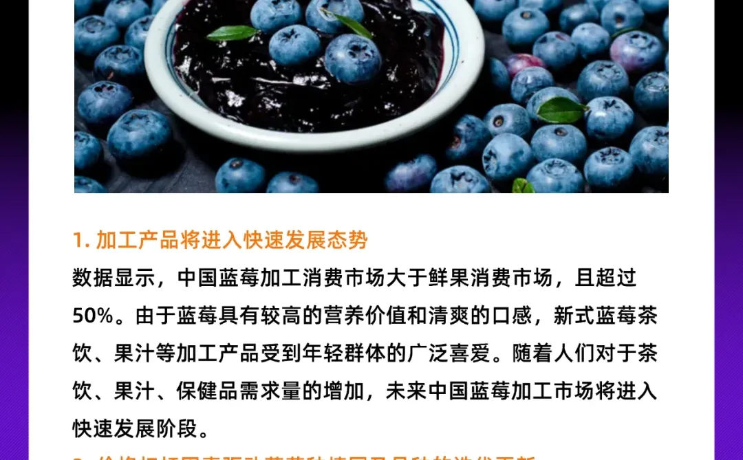 蓝莓能成为水果届的致富经吗？?行业报告