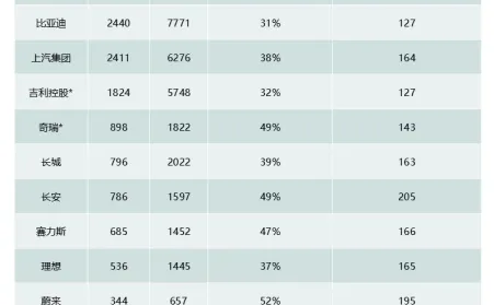 全球车企财报透视 中国车企财务表现更显稳