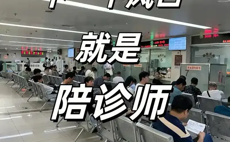下一个风口就是陪诊师,信不信?