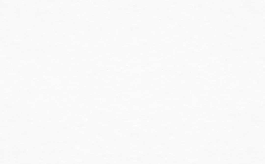 综合办公室2025年度工作总结