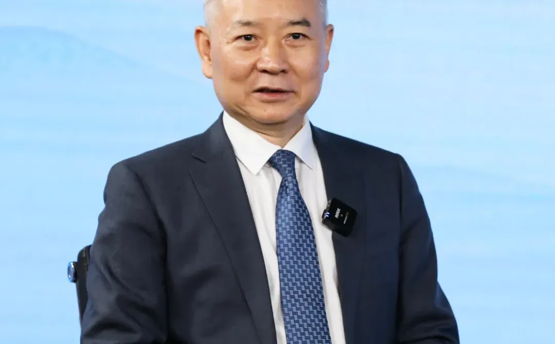 徐洪才中国国际经济交流中心副总经济师