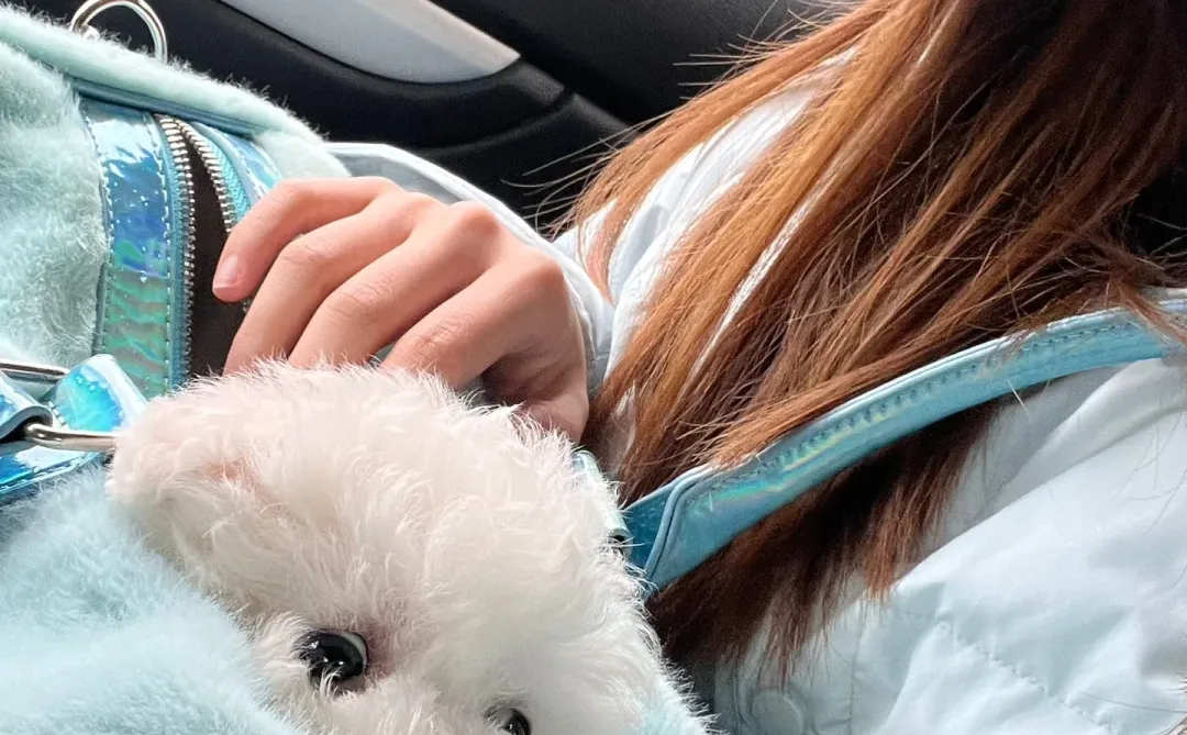 2025年终总结｜宝宝，你是一个药企研发女