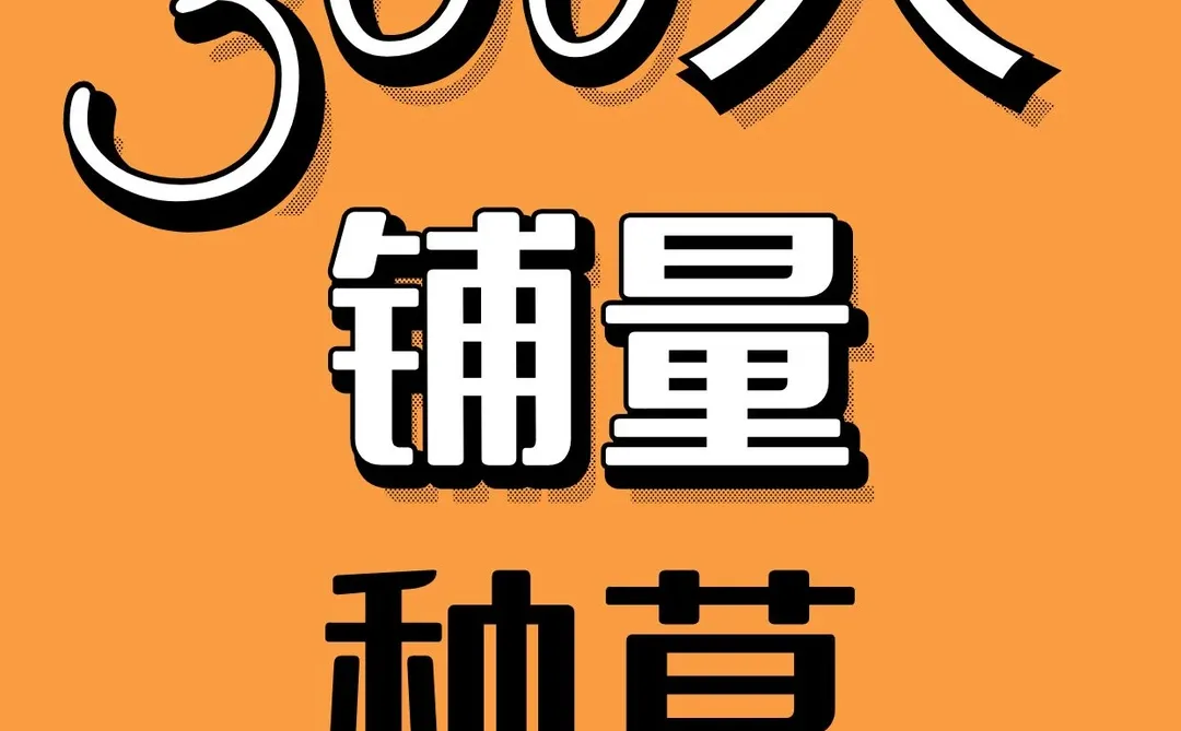 1000+连锁品牌上新放大声量策略