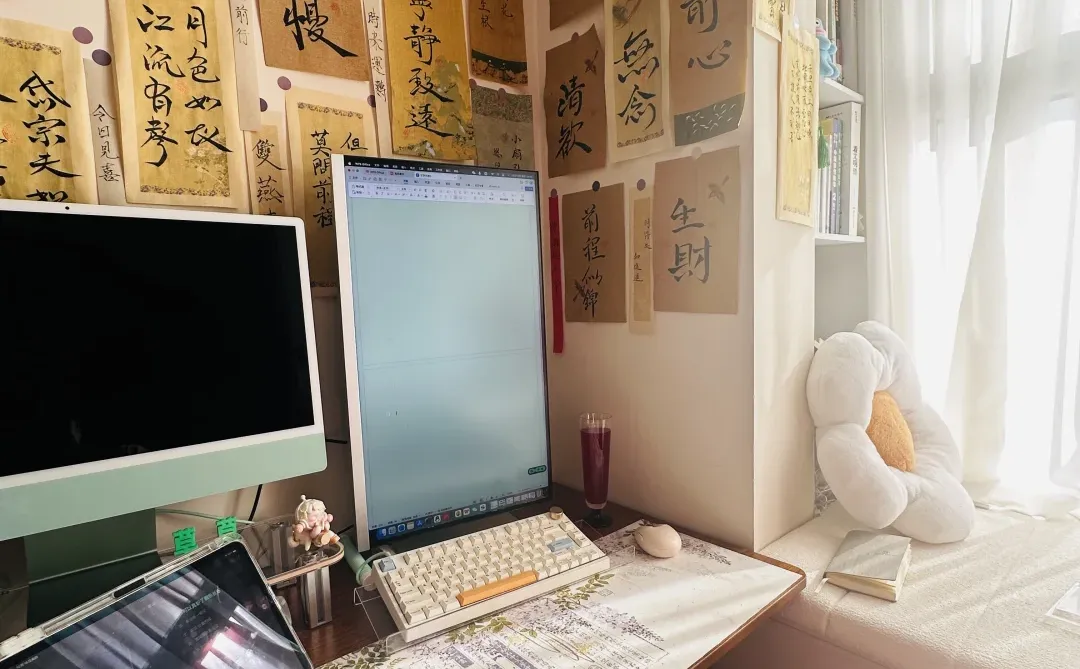 一个小说作者，有钱有闲的2025总结