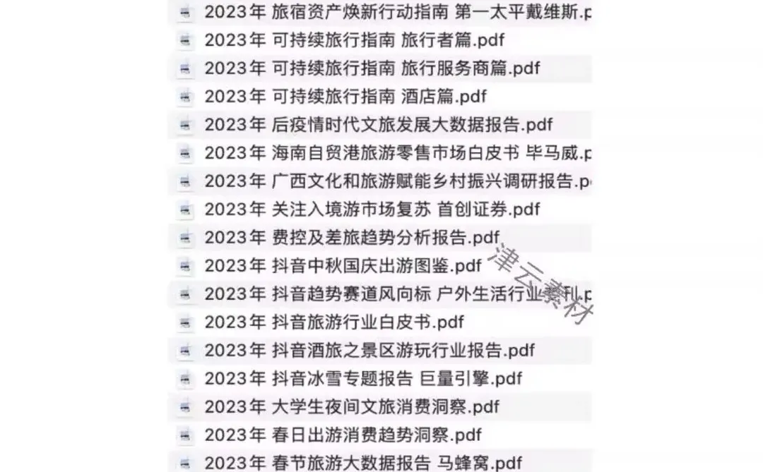 ?2025旅游行业白皮书来啦！