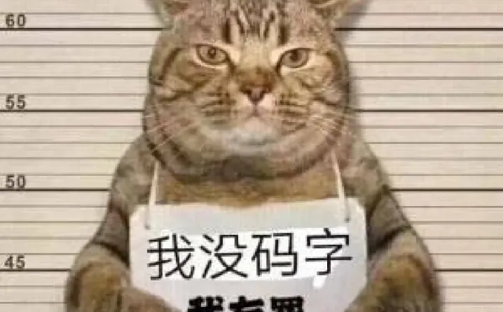 苟在血汗工厂写小说，试图码字赚钱D75