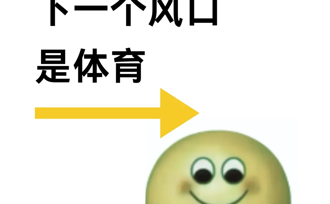 张雪峰说下一个风口是：体育