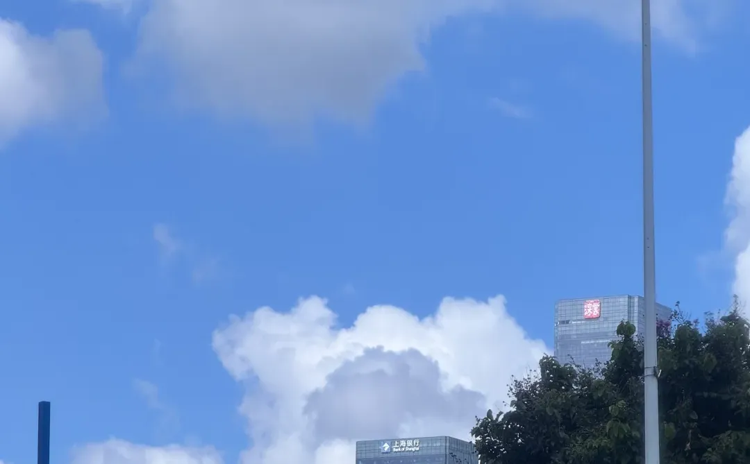 女生炒股血泪史！亏2万踩的5个坑，新手别再重