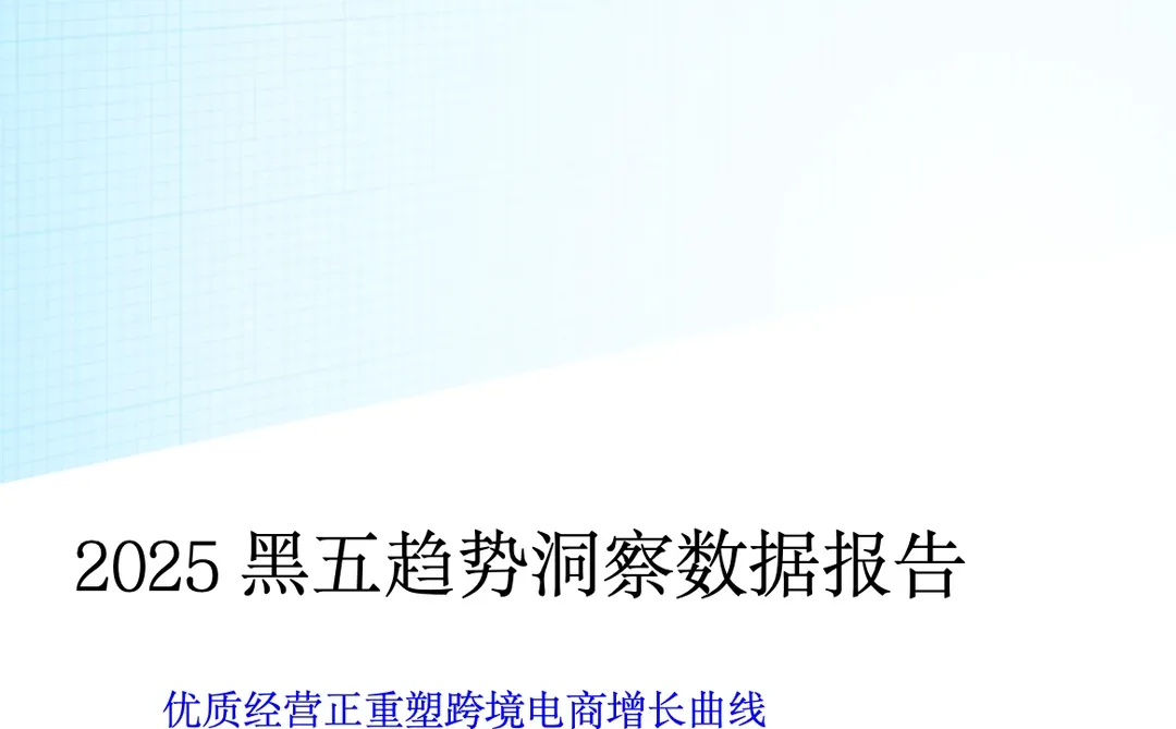 2025黑五趋势洞察数据报告