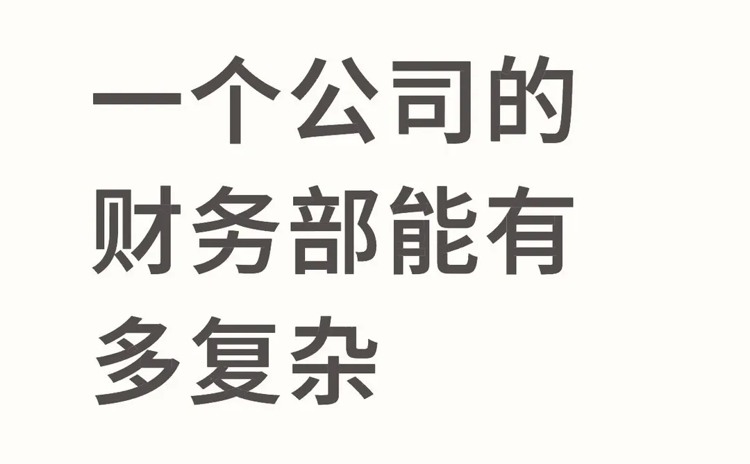 一个公司的财务部能有多复杂？