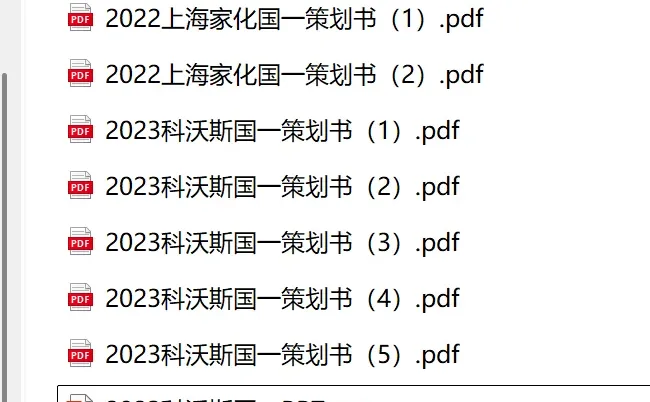 2025年精英挑战赛会计案例竞赛优秀案例
