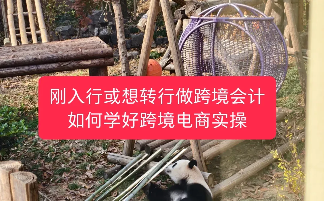 跨境电商会计好学吗？怎么学？