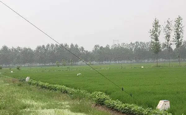 沈阳全自动给水设备 白皮书（2025）