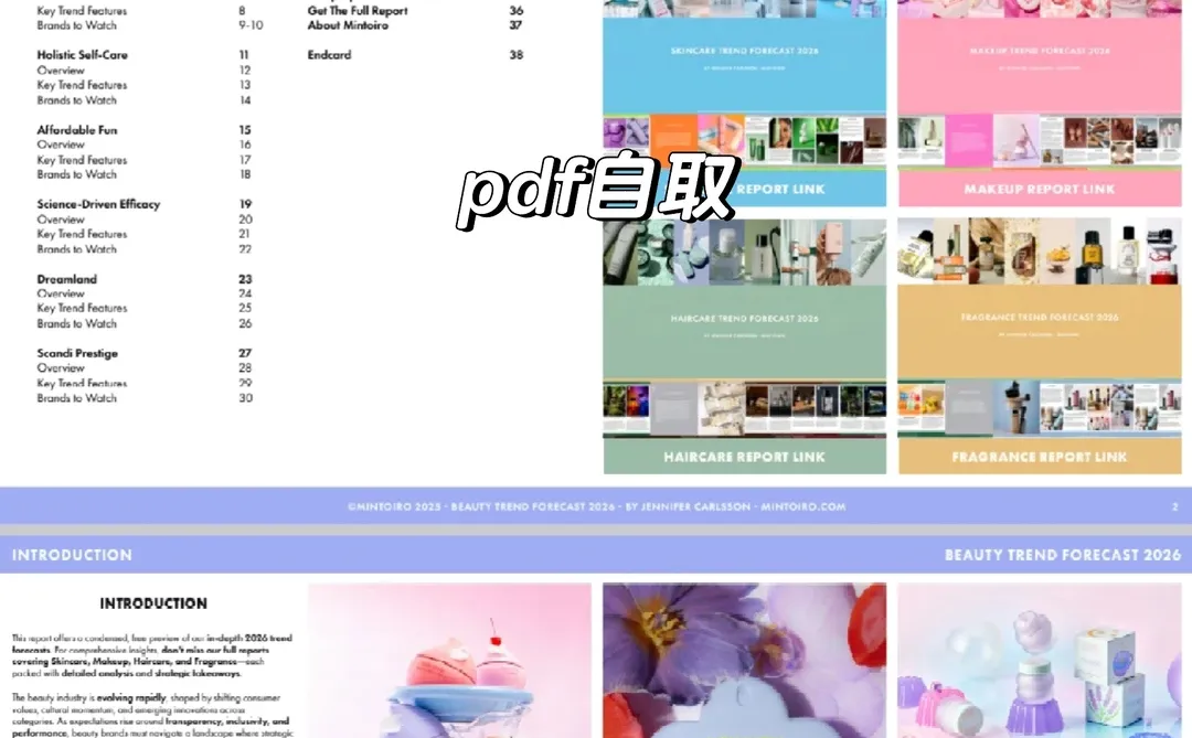 欧美2026美妆个护行业前瞻(附PDF