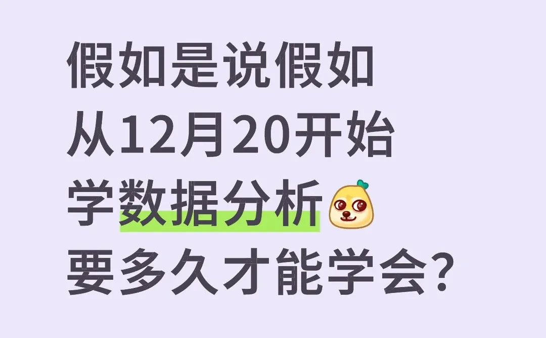 假如是说假如从12月20开始学数据分析[dog