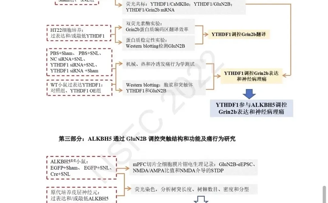 这个国自然已中标写的太好了